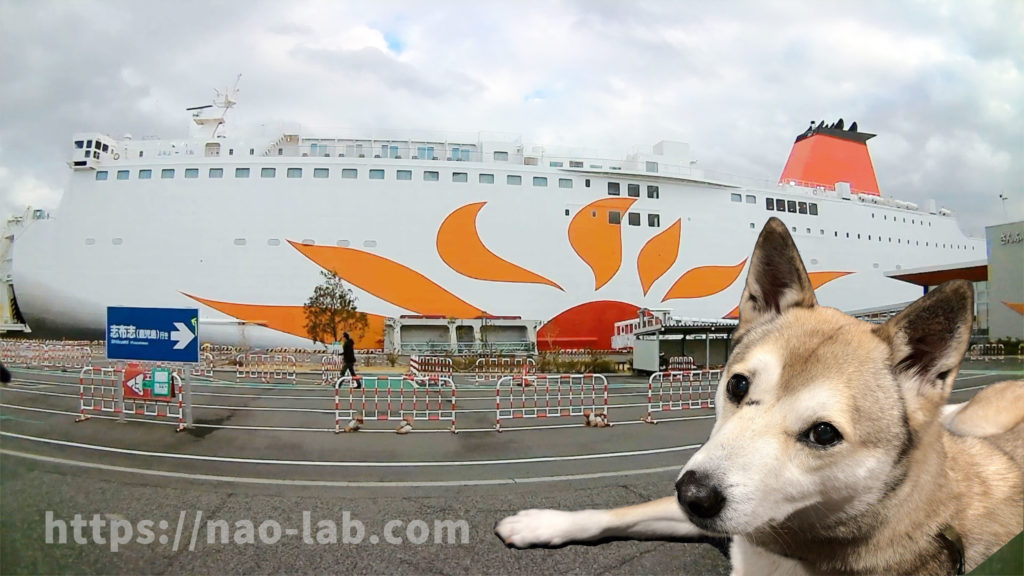 愛犬とさんふらわあの旅 ウィズペットルームで快適に過ごす船の旅