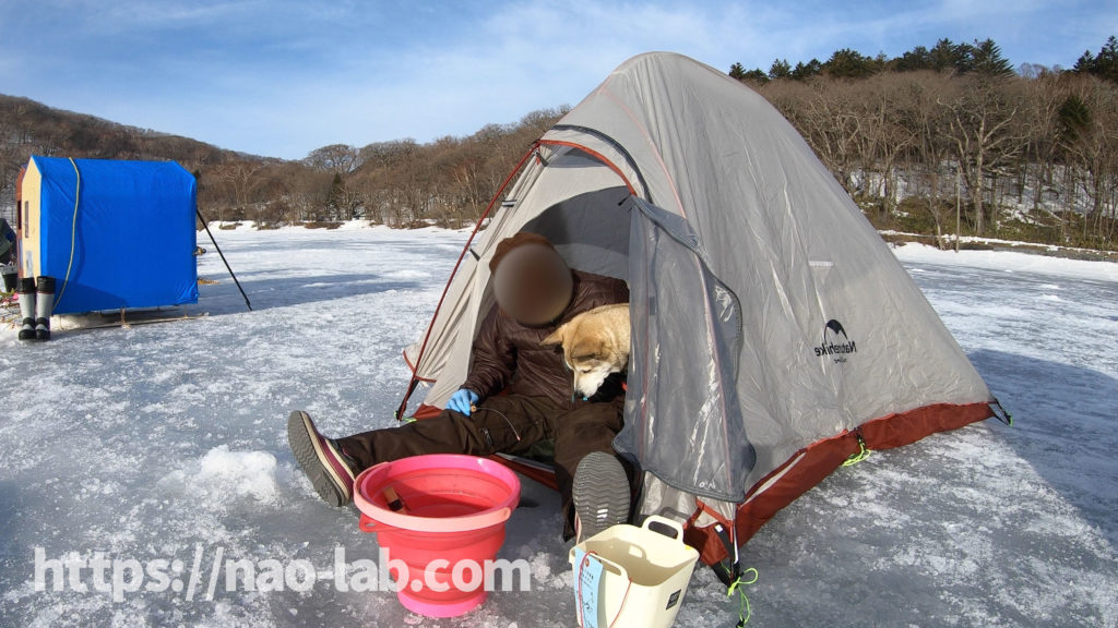 氷上ワカサギ釣り 2月の赤城大沼でワカサギ釣って天ぷらにして食べる